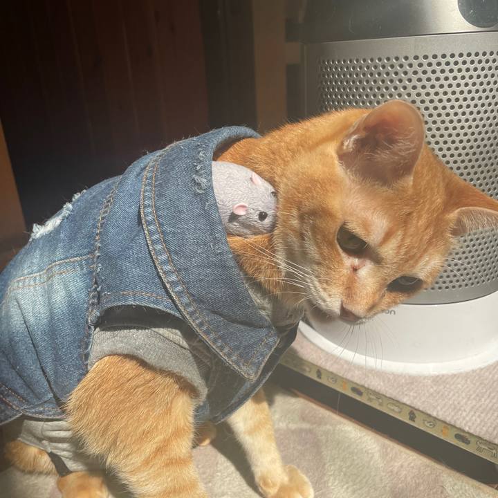 A7a71dc7 df95 4792 9800 5d73ef1d829c 1645945324552