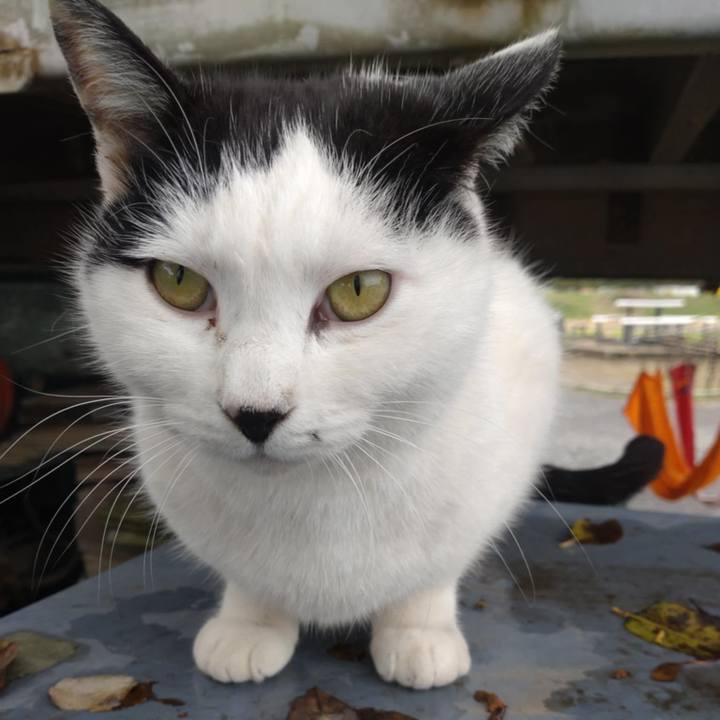 A7a7209e f7c9 4d05 833e ea33fc3bb405 1731645240746