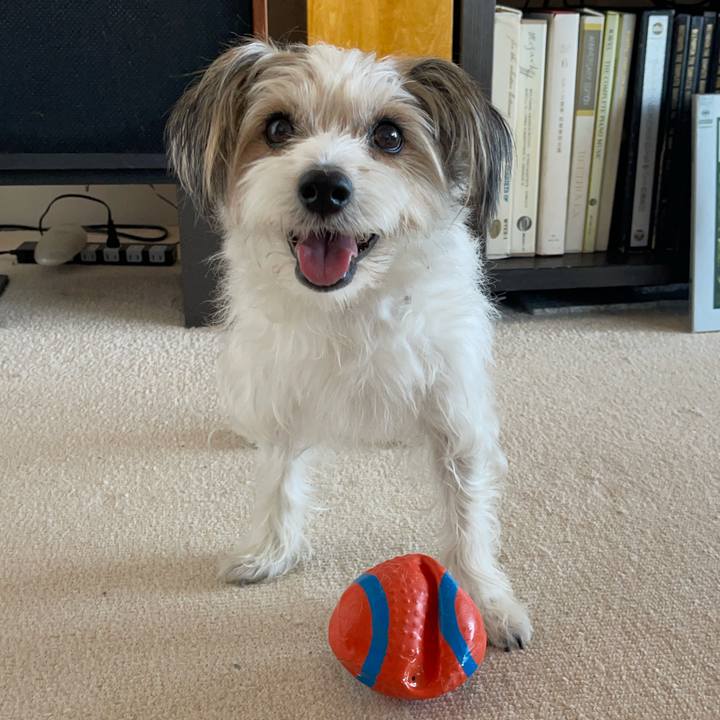 A7a73565 f948 43e6 9323 7ccf9c267cf1 1767099827826