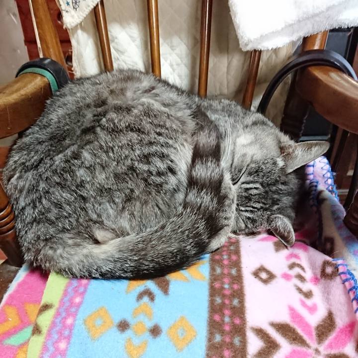 A7a7719f ffbe 4e4c a4b5 9c4d642d4b79 1574555045695