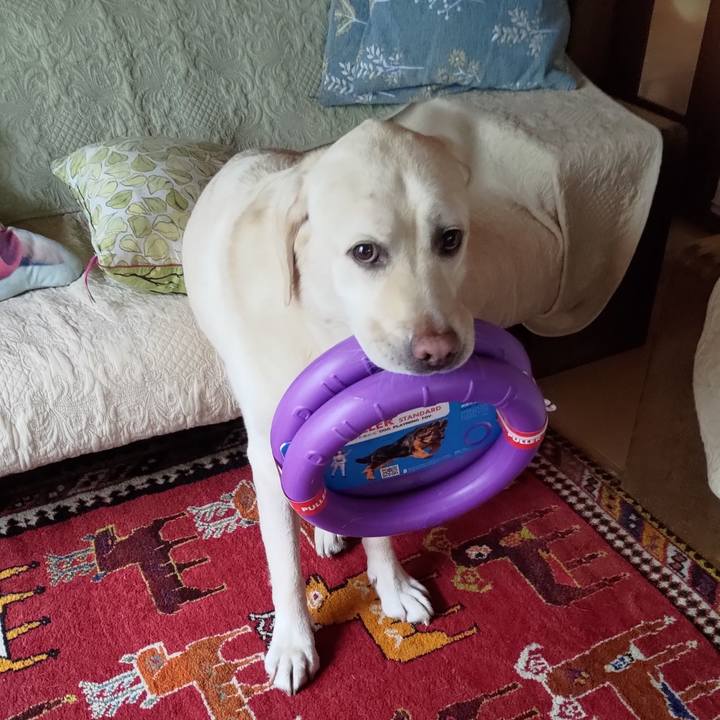 A7a7fa69 1153 4596 a8d8 9739e3e653e1 1661405935208