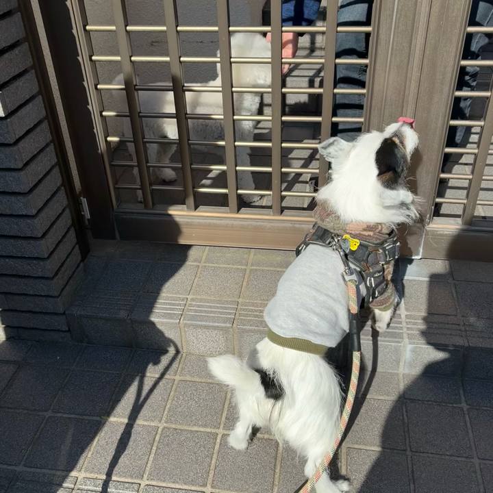 A7a82acc 3468 43a1 b34f febec9502db8 1774310592296