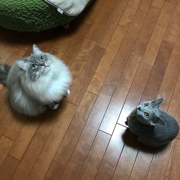 A7a830bd 254f 4b94 9b5d b3cf74f98f0a 1520515938356