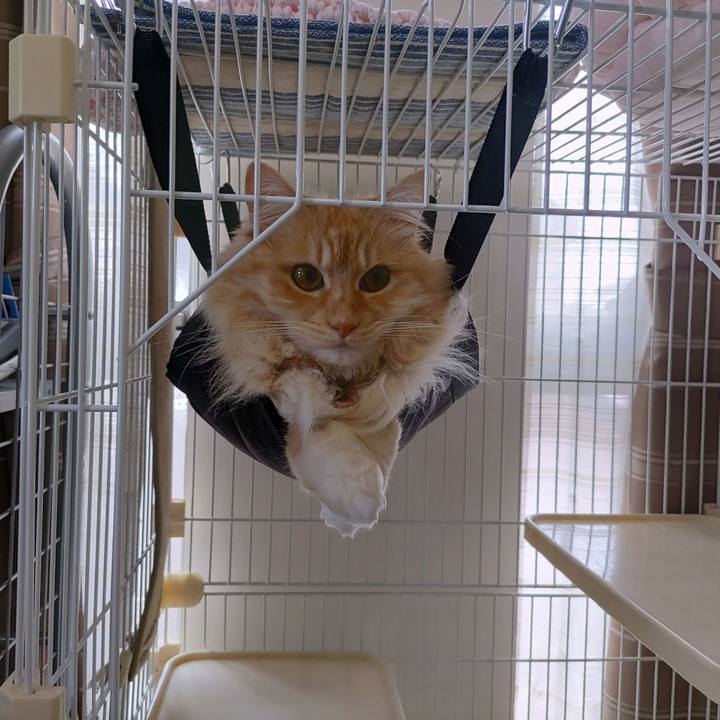 A7a838e6 0708 4219 b1c9 c66dae98395f 1685763194821