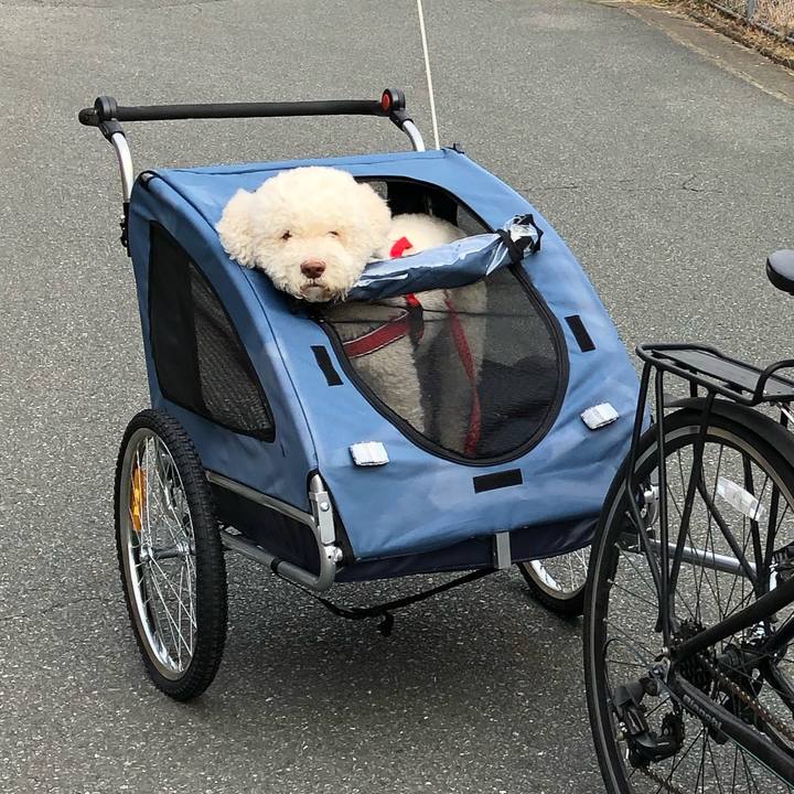 A7a83b5f aa21 479d 8866 fb33119c821d 1613208447683