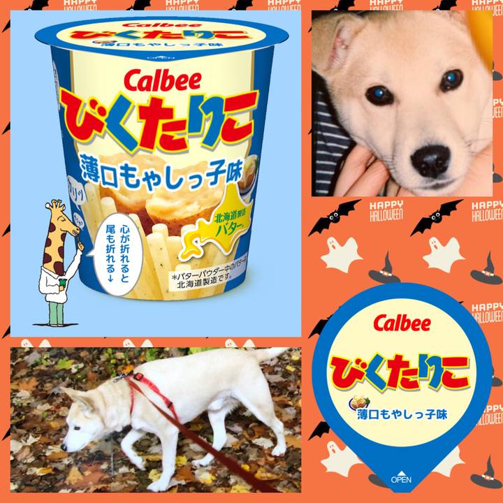 A7a87be5 36e7 4673 b95f c46528838104 1635564906549