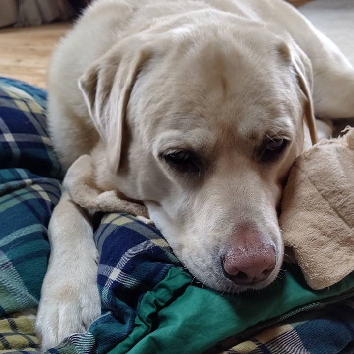 A7a89430 4543 4a4c b02a a173b09f3798 1665024185758