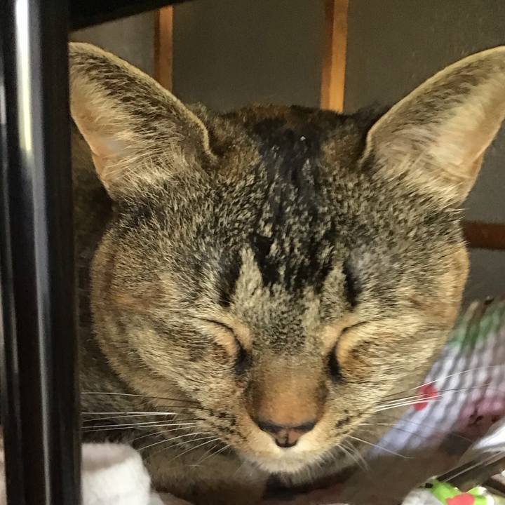 A7a8b2a4 cc2c 4420 9619 3fda94feaacf 1714465952161