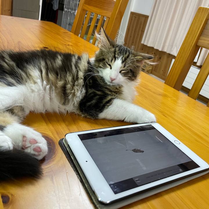 A7a90d16 e2e6 49da 980e e6f37764b7ce 1634206749327