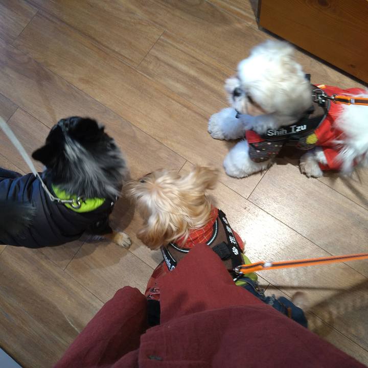 A7a93907 772b 4664 acca 9434e55df7fb 1608869620255