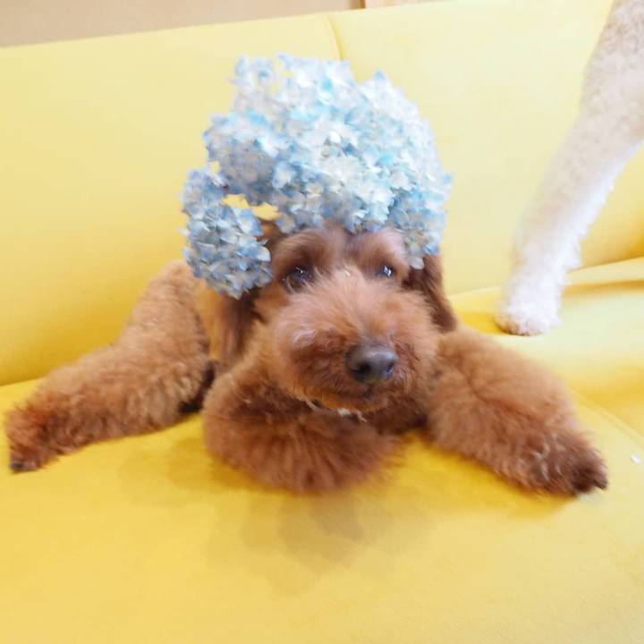 A7a94c42 4834 4577 a791 3f7bdd0f3cab 1592710866984