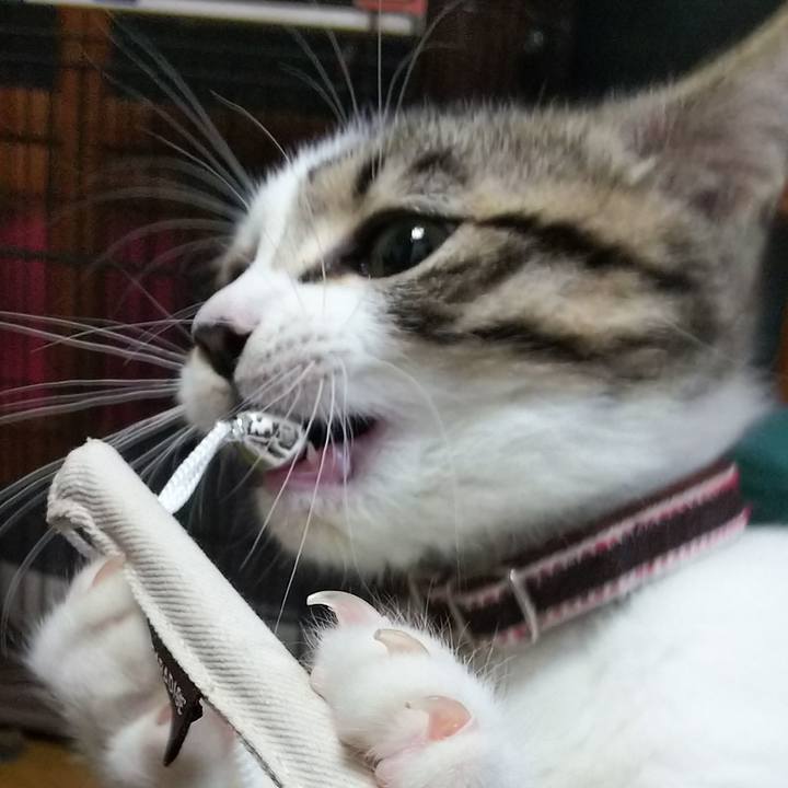 A7a9783f ebd7 4fce b1a1 eb82c644bf19 1609848810201