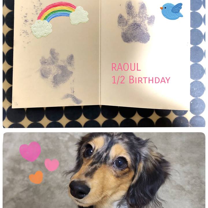 A7a99fc7 35bc 4c2e b20b 7f91c410b3fa 1705490878298