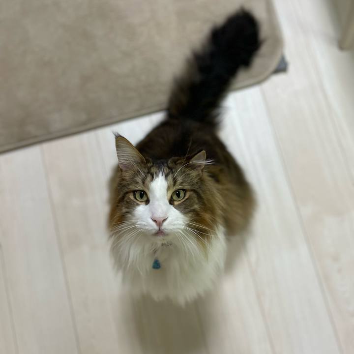 A7a9dacb 2b6a 44c6 9929 2e30ce4ae450 1710704072748