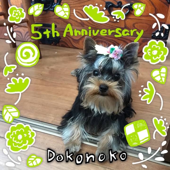 A7a9f967 2fb2 41bd a6bc 0824ddda1f82 1623729298504