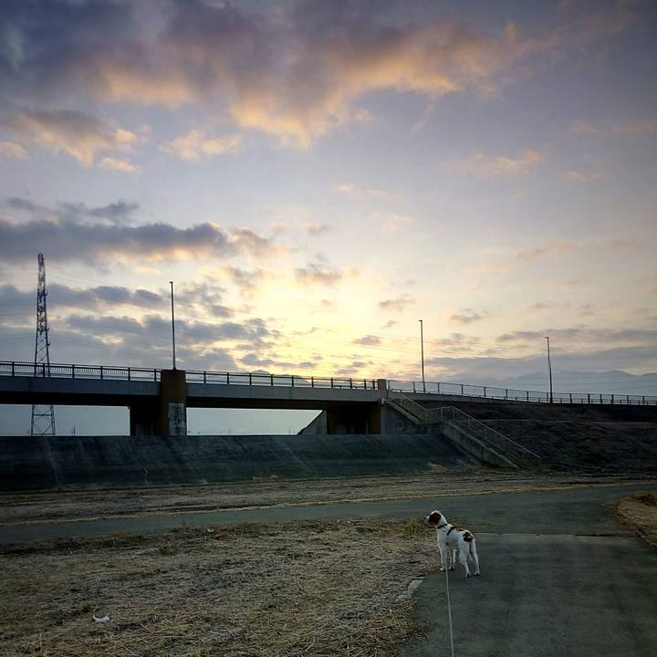 A7aa429b c60d 4792 b775 e36cebbcf45f 1516062286848