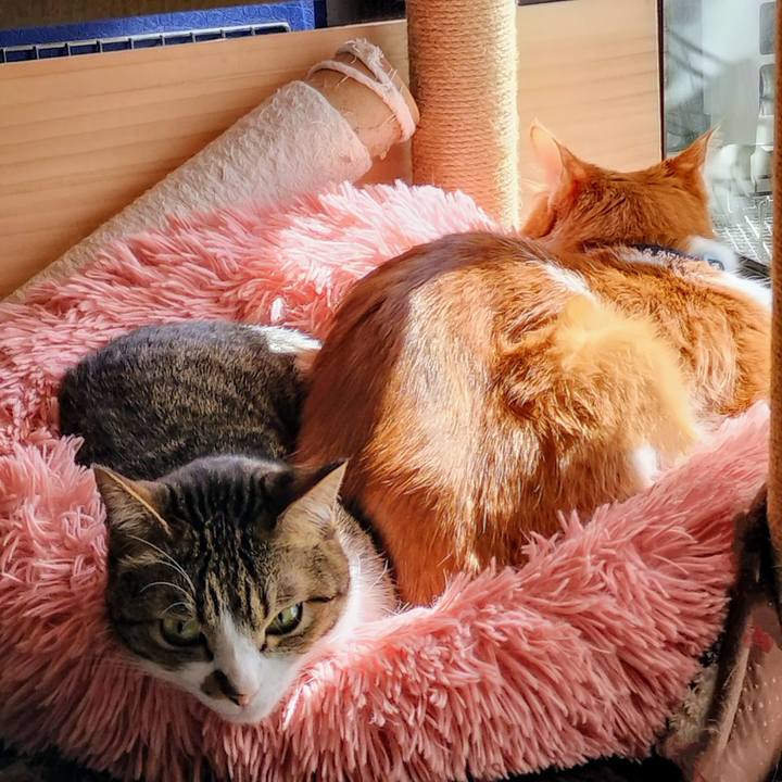 A7aa4925 0955 4aca 8503 b7d13f9dde5f 1740279835470