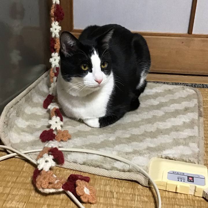 A7aa7477 2358 4558 a1cd e3b73d649cc3 1645181934154