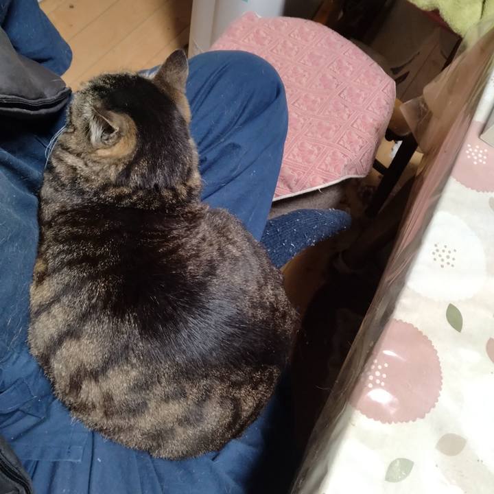 A7aa8e2b 82a0 4a15 b44a a4266f6ab083 1684843501256