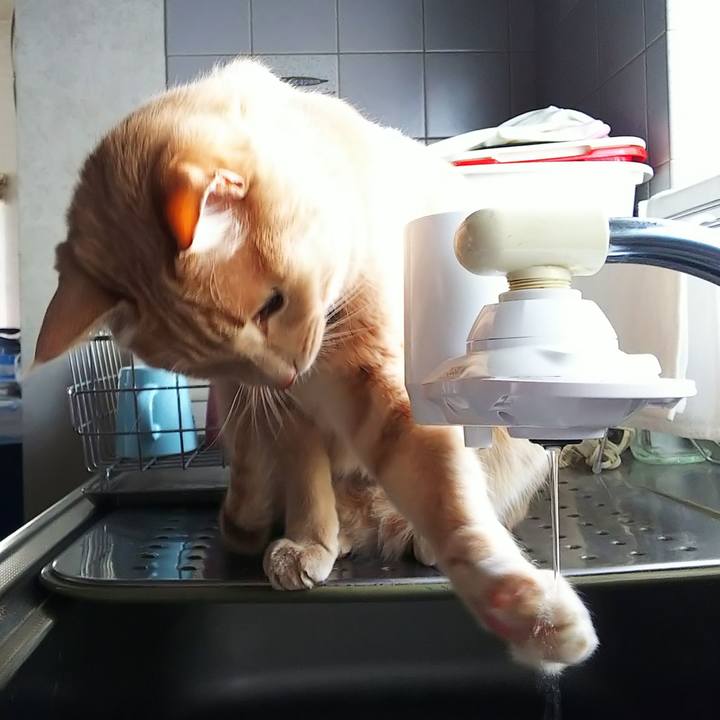 A7aabecc 6057 48dc 9cda cf86a588ee79 1647498157197