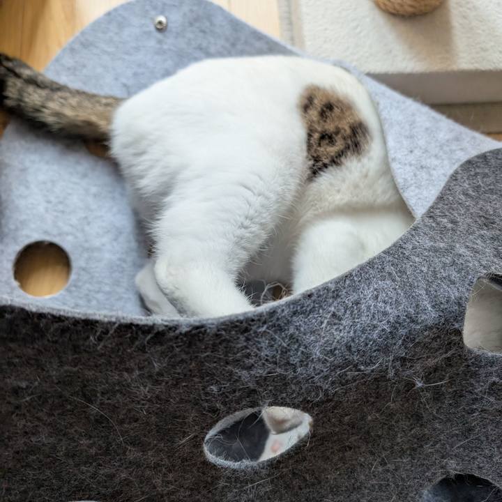 A7aae18a ee11 41a0 afb5 249579317fd5 1742698785678