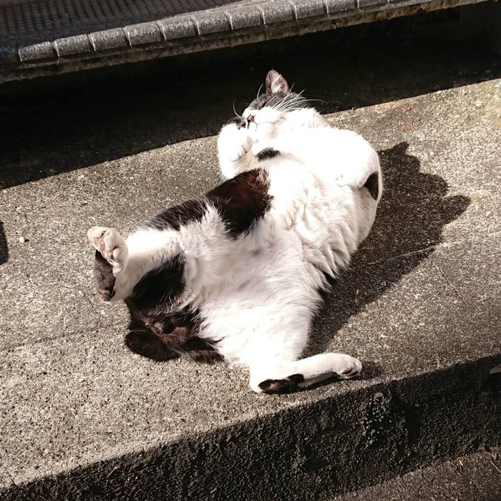 A7ab754c 8860 4f4b 9ae0 5d72bcccebc9 1581409900716