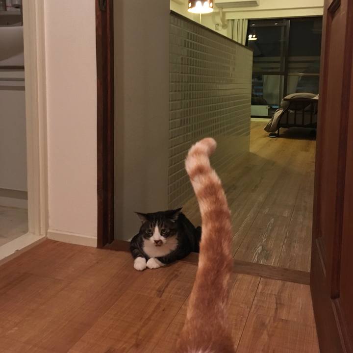 A7ab7ecd 5dd0 4b85 b7bf ed4e208d4df6 1573288140542