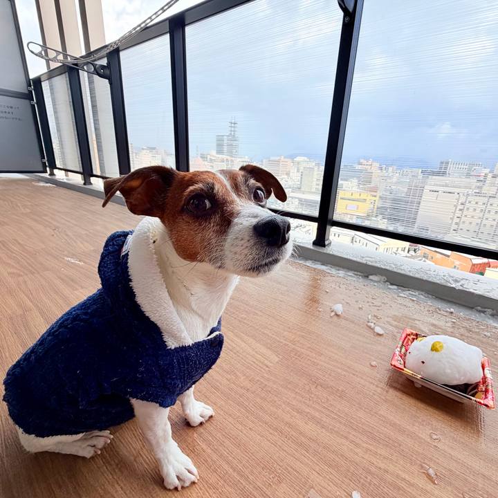 A7ab971b 18d8 4533 945a 333b52490eea 1769334963027