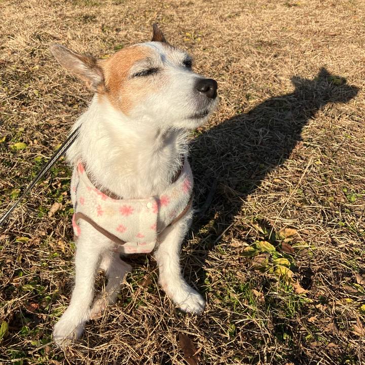 A7ab9745 00e3 41fb 89c2 798b33511fa5 1672447358945