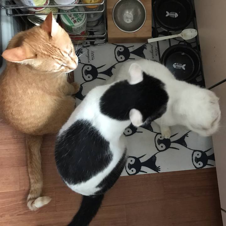 A7abb1cd 33c2 4c4f 949b 2bfbca67ea30 1561968301617