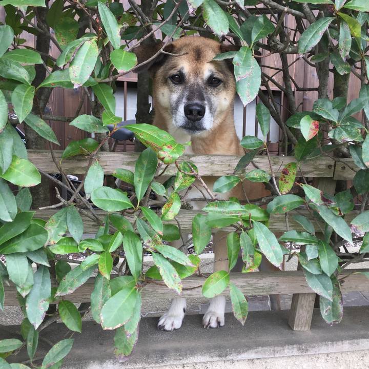 A7abc181 71b1 4c9b b860 d16462b05997 1533856195426