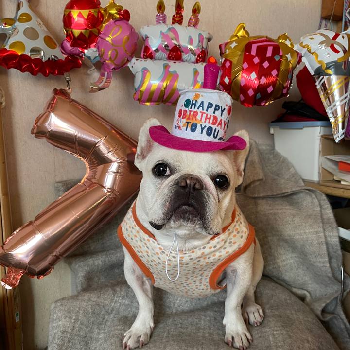 A7ac04fd beba 47a6 8a97 5c5f08074fe1 1762041101011