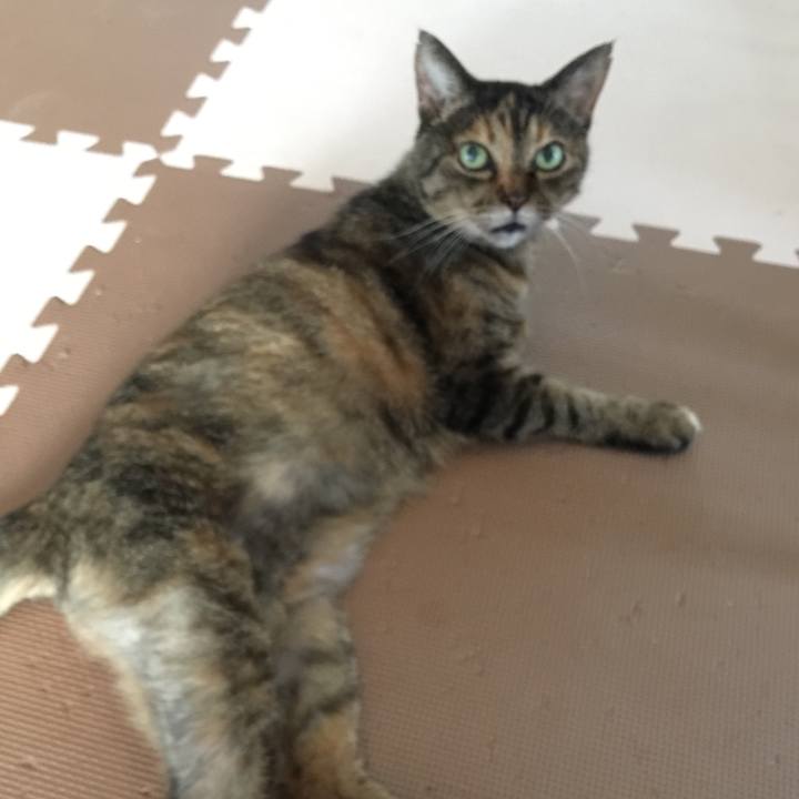 A7ac0a70 2fd0 4f44 8f83 2cd01ee7e87c 1569895857558