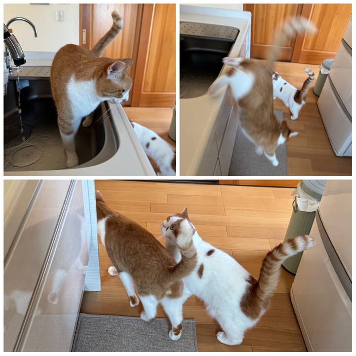 A7ac0bf7 c7b2 4669 b938 d496f0739f52 1763164773353