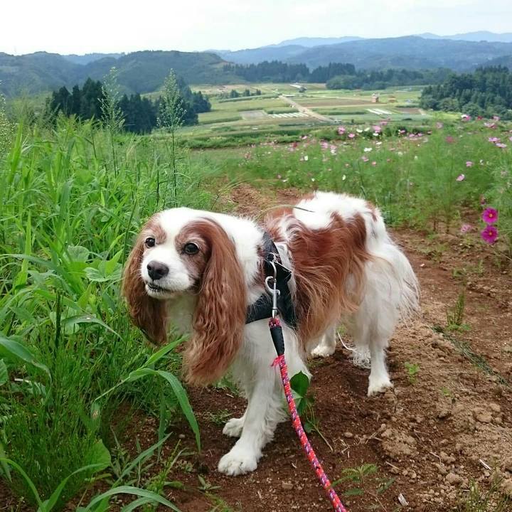 A7ac32c2 d84c 4add a246 eb2b36d24e54 1567233161555