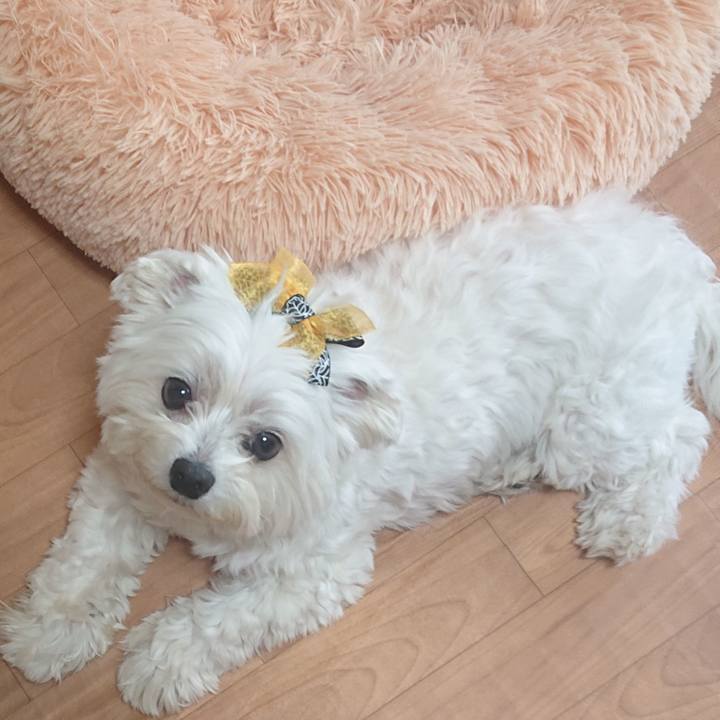 A7ac37d4 7251 427b ac4d 2dfe51dc9d1f 1586610221180