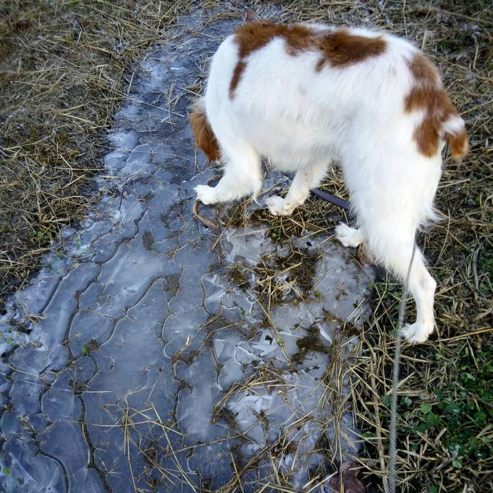 A7ac4cb5 7bc9 4601 85d5 173018fc1f44 1515716906548