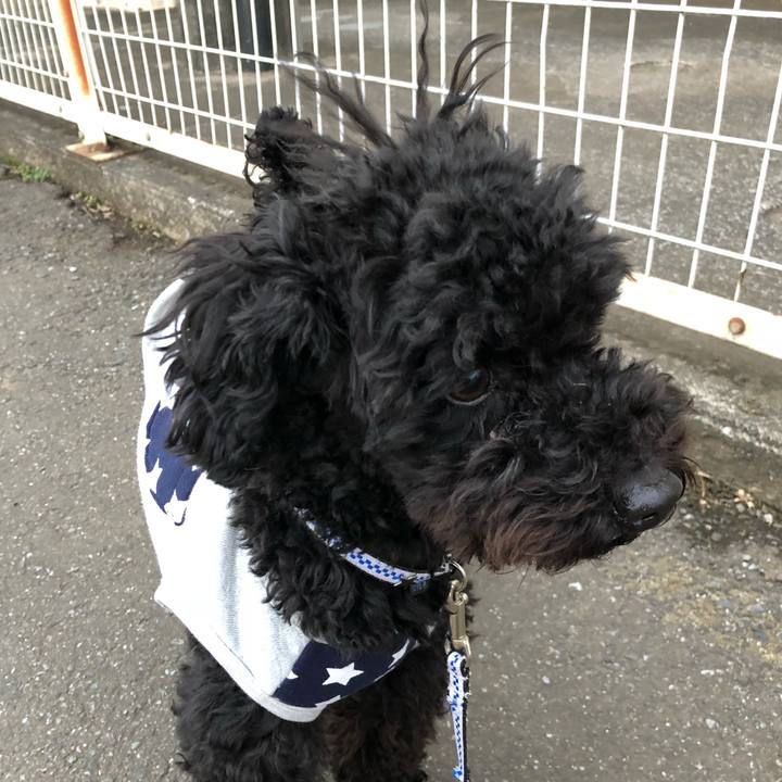 A7ac7bb8 151c 4569 905d 13179426373f 1519559474973