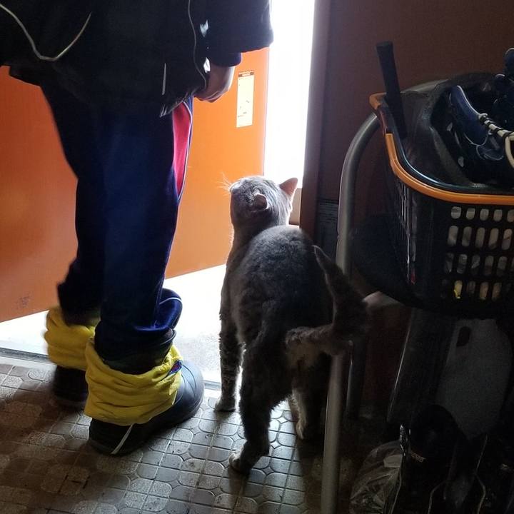 A7acafb9 b971 461c a3f1 3a7bc40eb947 1545975846615