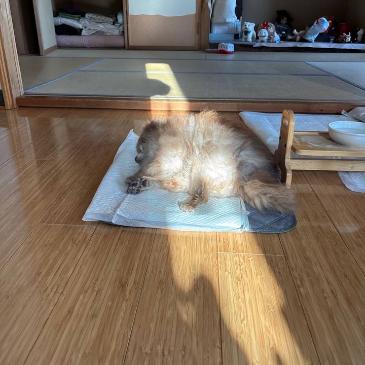 A7acc8c4 51a0 4b97 b050 dd04c6192066 1760507398414