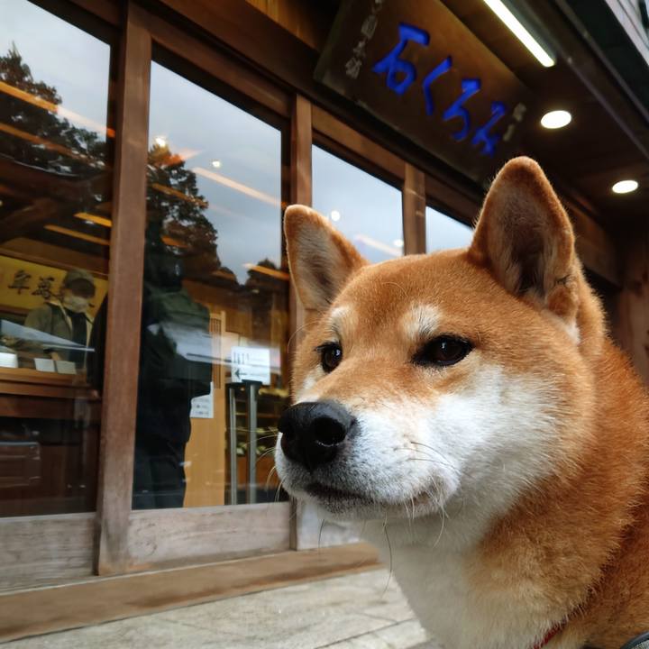 A7acf4fc 81c3 4f9f 84d9 4adf4e729717 1767084680845