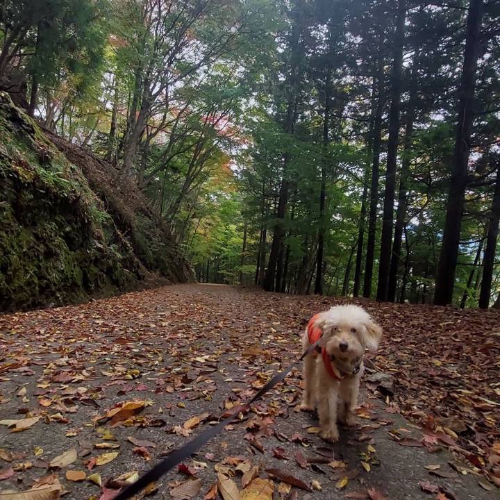 A7acfc27 27bd 4ba5 bb24 16c986ea24fc 1699671608456