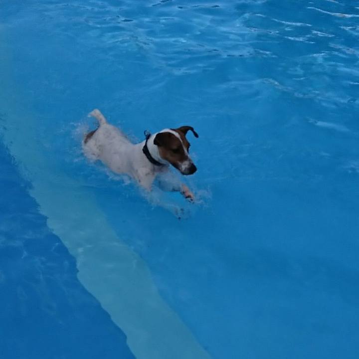 A7ad0ee6 c8a0 4b2a 96ce 309e2c914682 1536479401743