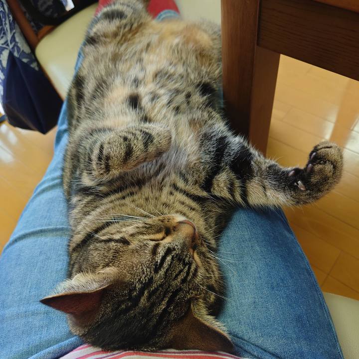 A7ad60d2 116c 401f 9bdb 60eb9a6c7897 1662101578832