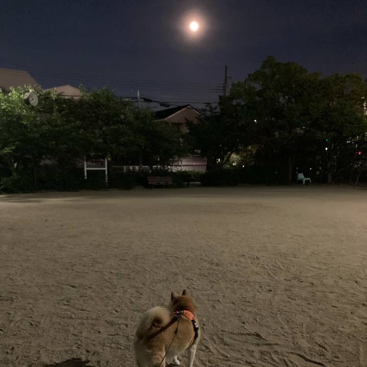 A7ad7676 b625 4dda a92c 1c87f34cb7c6 1626991639298