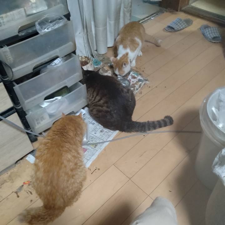 A7ad921f 1a6c 490b 9ea9 81d9ff1e4c92 1751705327929