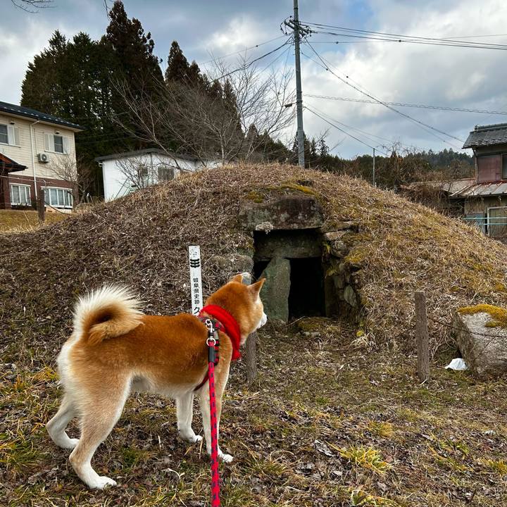 A7ad9269 da60 422f 85af 7281632b646d 1770462131918