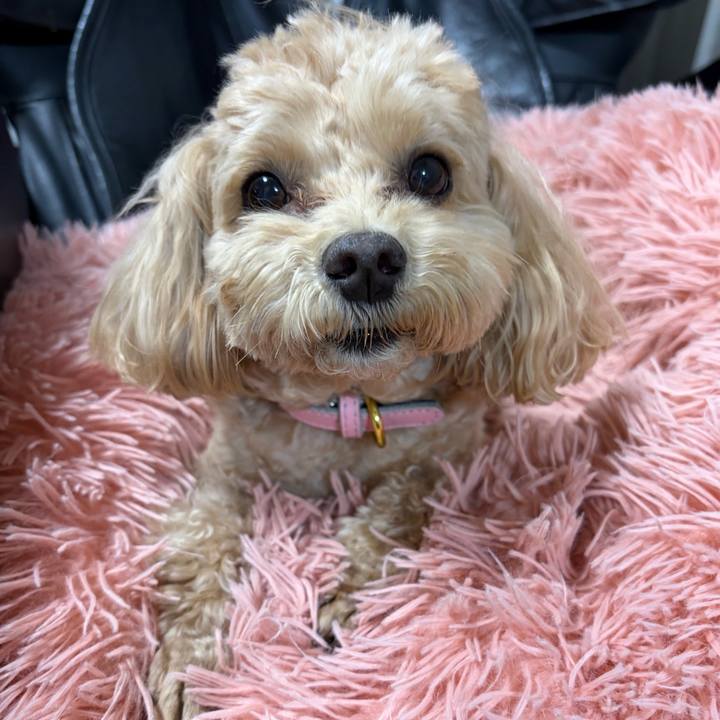 A7adb888 5439 4e5d a0b0 6498079599ec 1768229829508