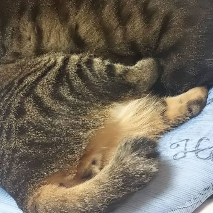 A7ae0826 0f79 4721 a172 c9ca607e180f 1610982440280