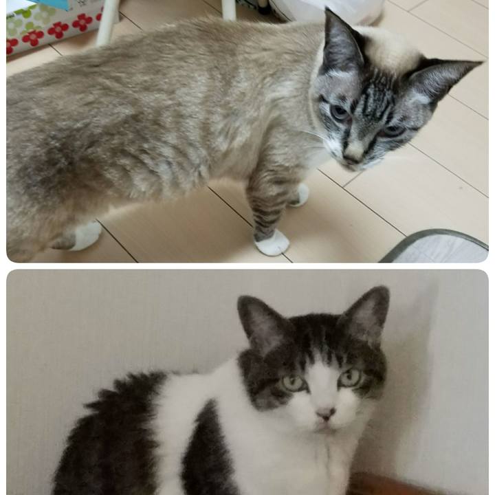 A7ae3396 5597 444f 998b 8eef8b27a8a0 1529541421293